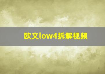 欧文low4拆解视频