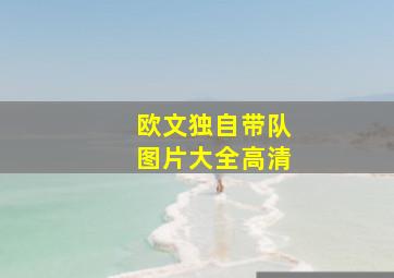 欧文独自带队图片大全高清