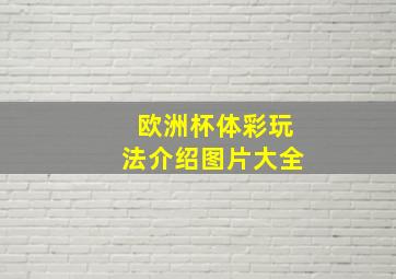 欧洲杯体彩玩法介绍图片大全