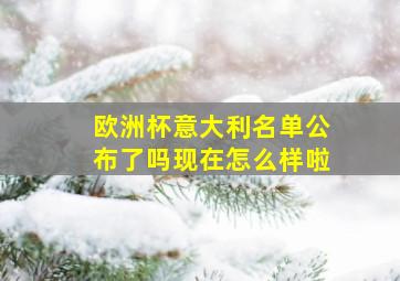 欧洲杯意大利名单公布了吗现在怎么样啦