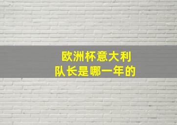 欧洲杯意大利队长是哪一年的