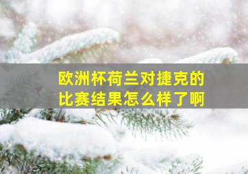 欧洲杯荷兰对捷克的比赛结果怎么样了啊