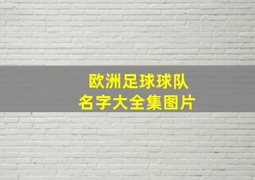 欧洲足球球队名字大全集图片