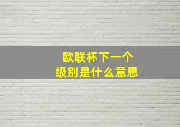 欧联杯下一个级别是什么意思