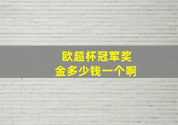 欧超杯冠军奖金多少钱一个啊