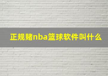 正规赌nba篮球软件叫什么