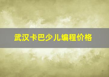 武汉卡巴少儿编程价格