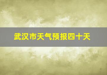 武汉市天气预报四十天