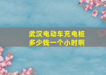 武汉电动车充电桩多少钱一个小时啊