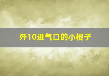 歼10进气口的小棍子