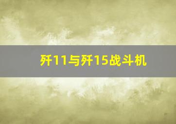 歼11与歼15战斗机