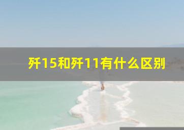 歼15和歼11有什么区别