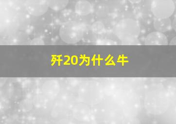 歼20为什么牛