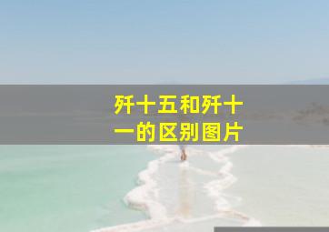 歼十五和歼十一的区别图片