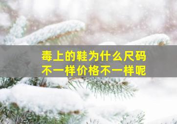 毒上的鞋为什么尺码不一样价格不一样呢