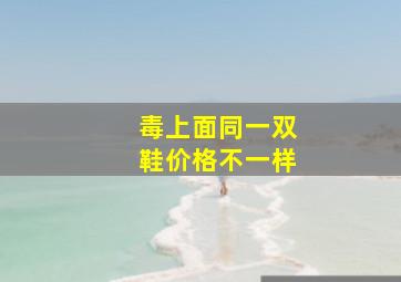 毒上面同一双鞋价格不一样