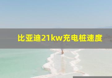 比亚迪21kw充电桩速度