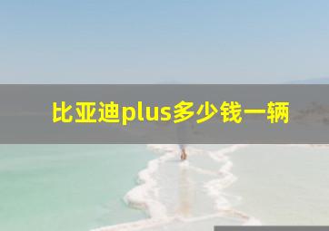 比亚迪plus多少钱一辆