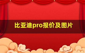 比亚迪pro报价及图片