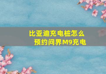 比亚迪充电桩怎么预约问界M9充电