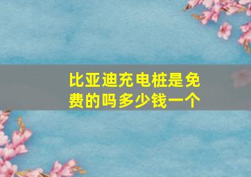 比亚迪充电桩是免费的吗多少钱一个