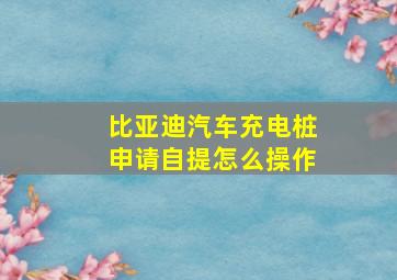 比亚迪汽车充电桩申请自提怎么操作