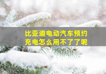 比亚迪电动汽车预约充电怎么用不了了呢