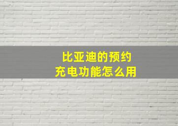 比亚迪的预约充电功能怎么用