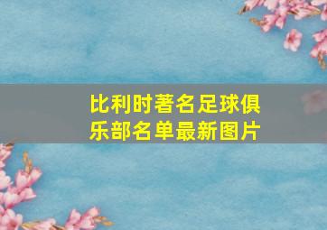 比利时著名足球俱乐部名单最新图片