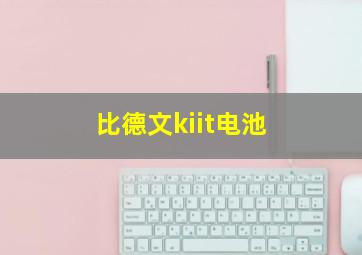 比德文kiit电池