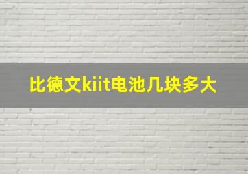 比德文kiit电池几块多大