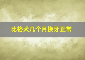 比格犬几个月换牙正常