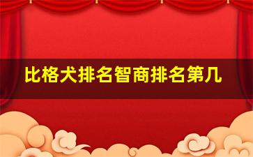 比格犬排名智商排名第几