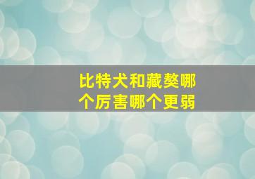 比特犬和藏獒哪个厉害哪个更弱