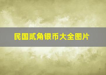 民国贰角银币大全图片