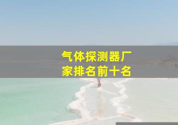 气体探测器厂家排名前十名