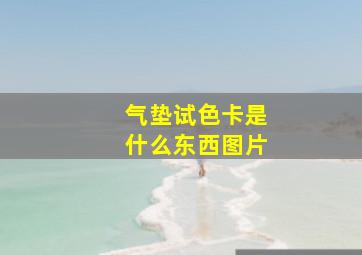 气垫试色卡是什么东西图片