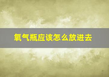 氧气瓶应该怎么放进去