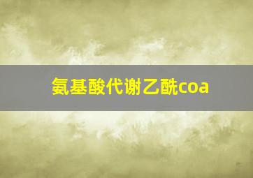 氨基酸代谢乙酰coa