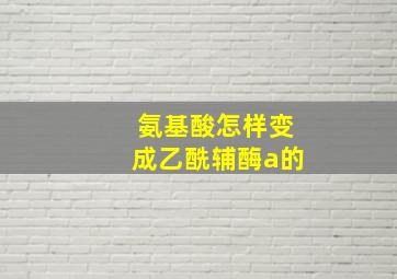 氨基酸怎样变成乙酰辅酶a的