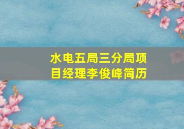 水电五局三分局项目经理李俊峰简历