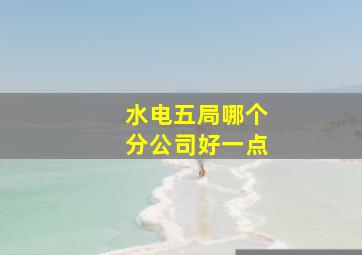 水电五局哪个分公司好一点