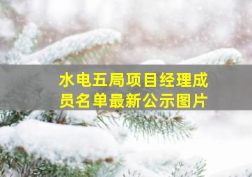 水电五局项目经理成员名单最新公示图片