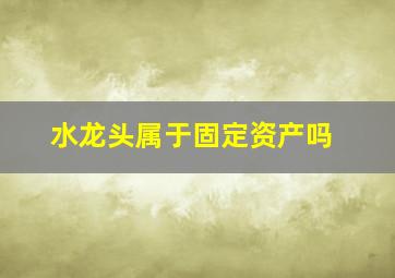 水龙头属于固定资产吗