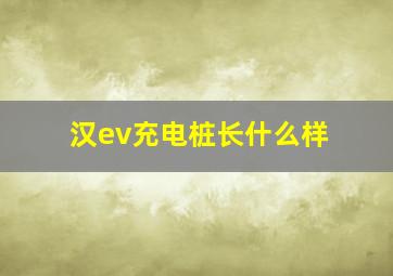 汉ev充电桩长什么样