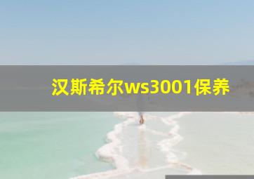 汉斯希尔ws3001保养