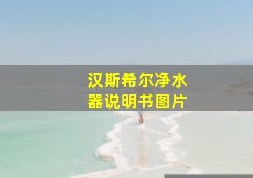 汉斯希尔净水器说明书图片