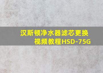 汉斯顿净水器滤芯更换视频教程HSD-75G