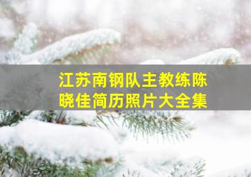 江苏南钢队主教练陈晓佳简历照片大全集