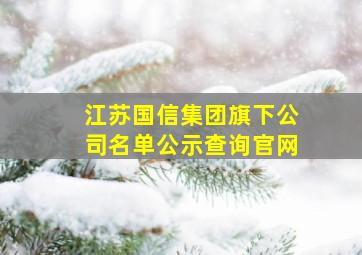 江苏国信集团旗下公司名单公示查询官网